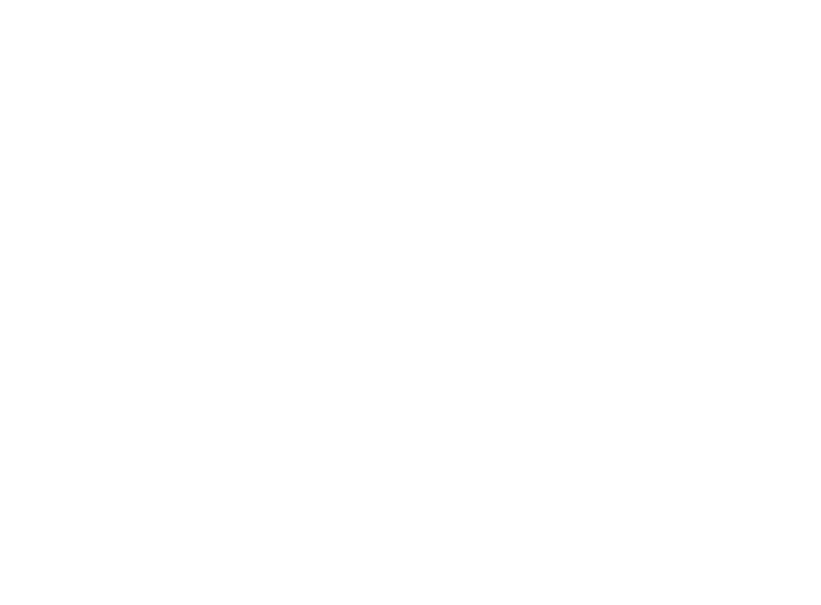 Levi Weiss